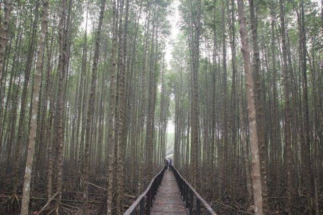 wisata