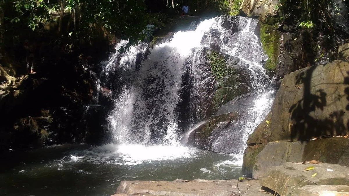 wisata