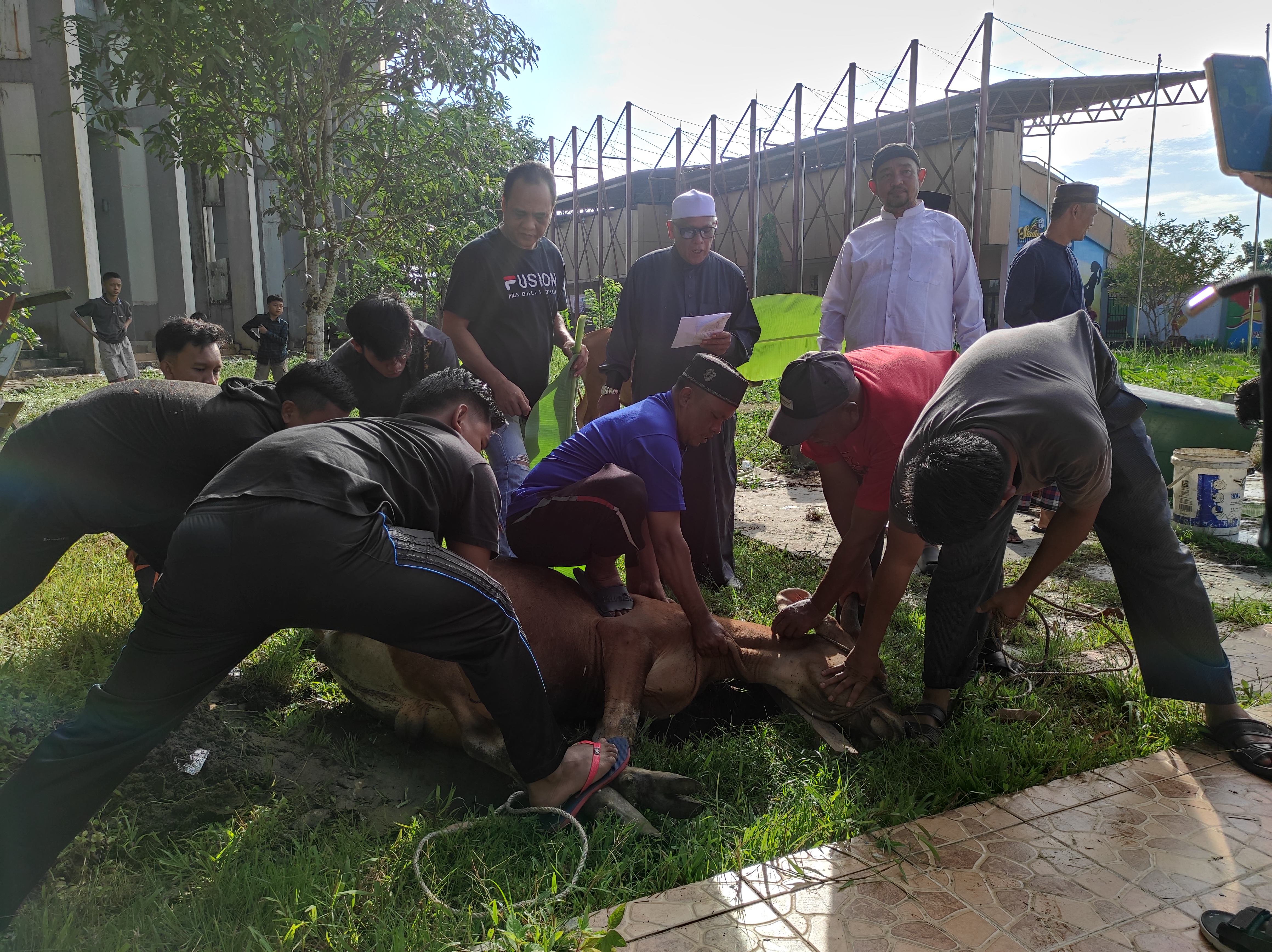 Disparporabud Inhil Melaksanakan Pemotongan Hewan Qurban di Venue Futsal Tembilahan